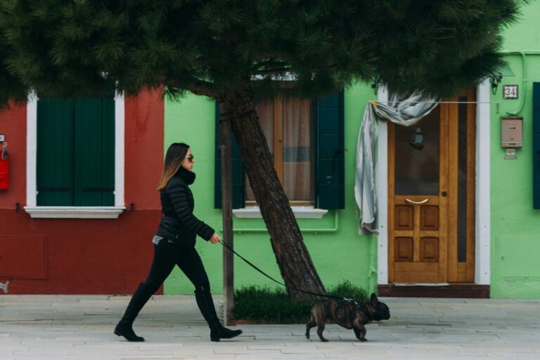 A gyaloglás kutyával is nagyszerű.